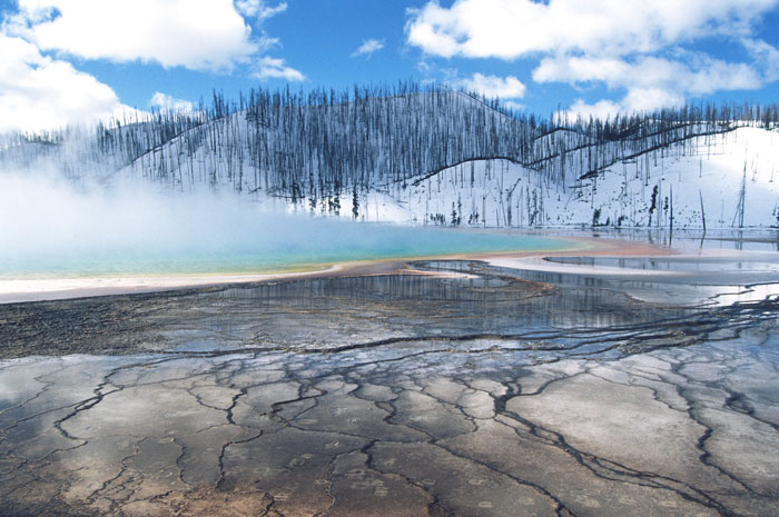 Yellowstone National Park during the winter