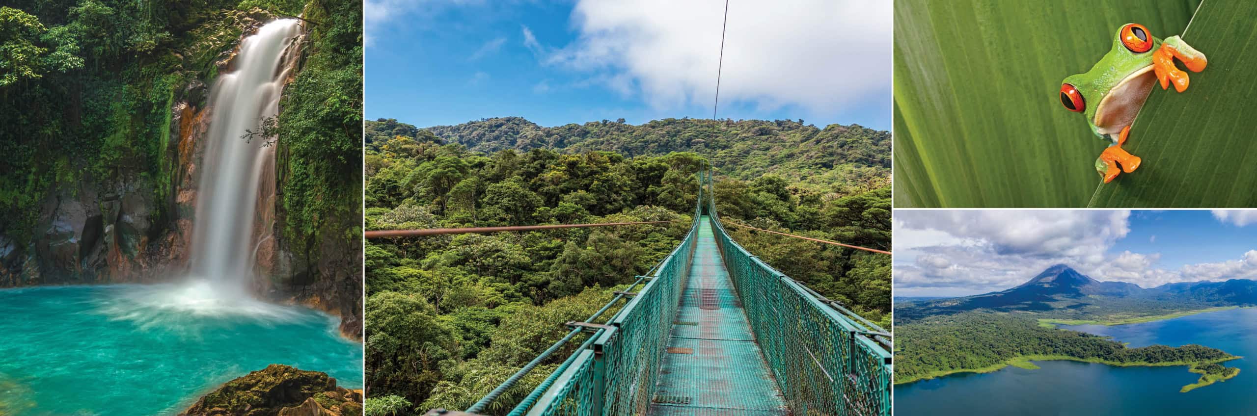 A waterfall, tree frog, volcano and jungle bridge in Costa Rica