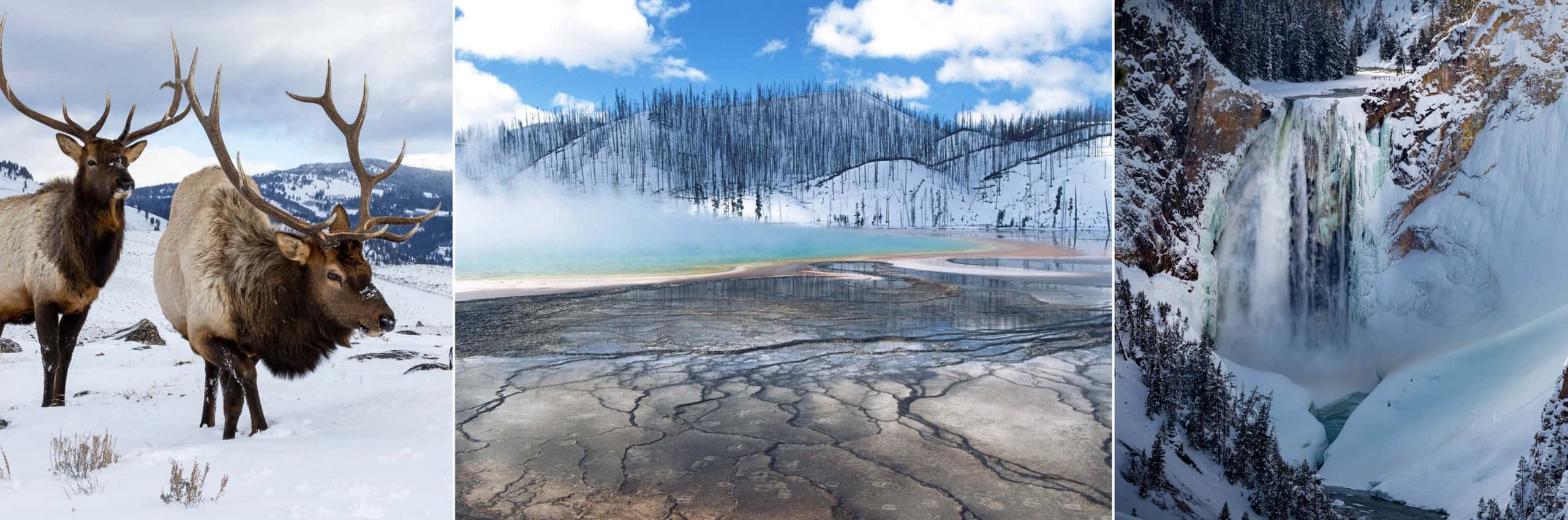 Views of Yellowstone National Park during the winter