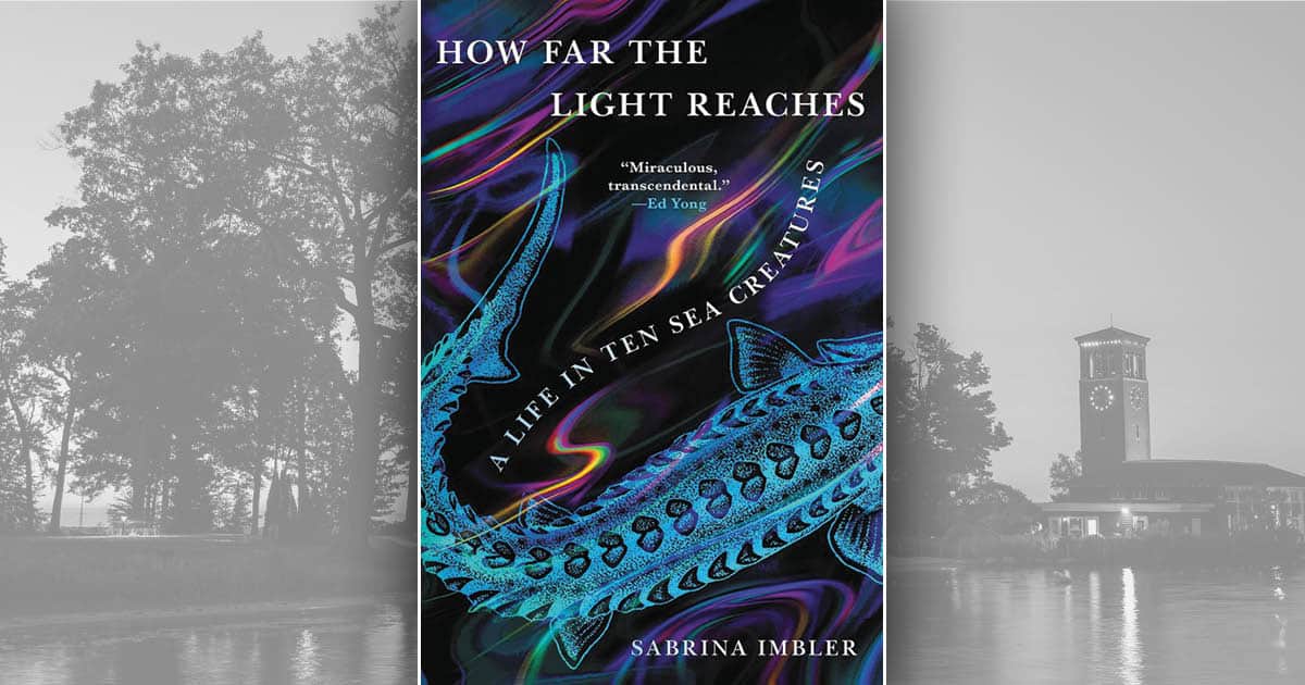How Far The Light Reaches book cover