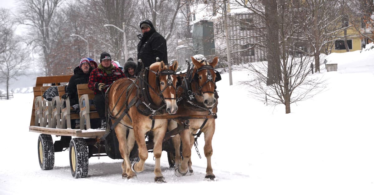 People riding a horse drawn carriage in the snow